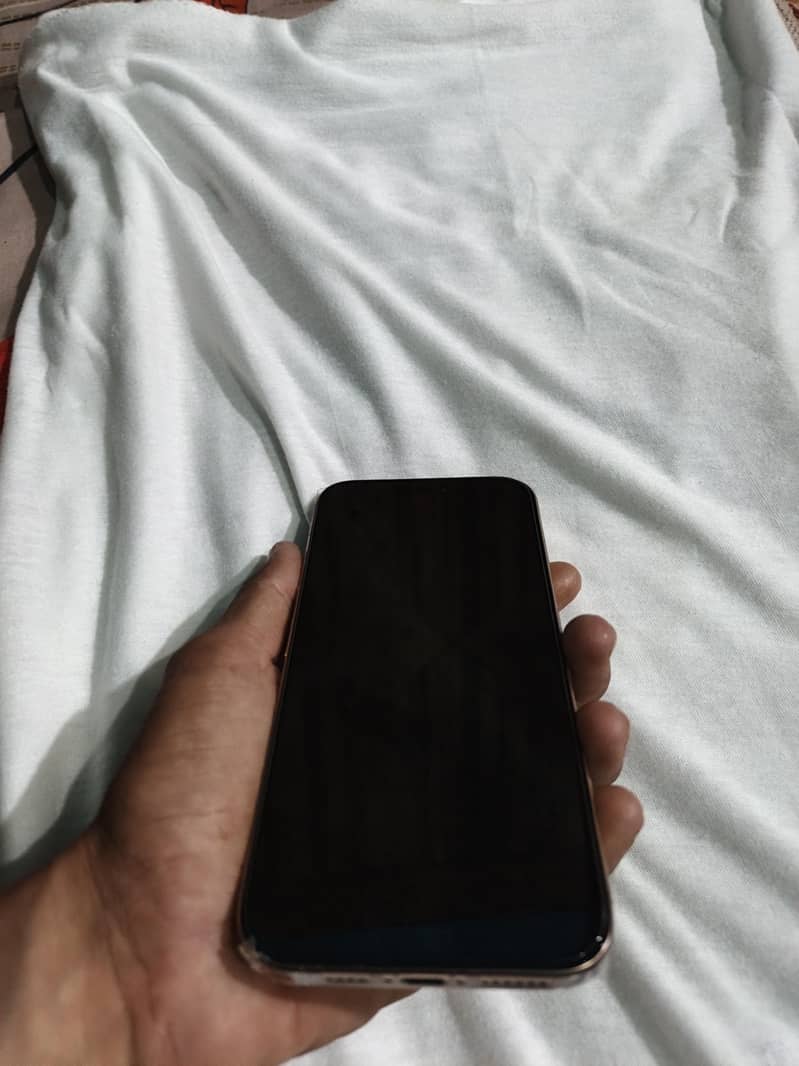 Apple iPhone 16 Pro Max 3