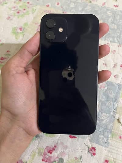 iPhone 12 for sale