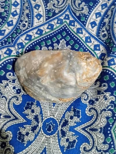 fossil