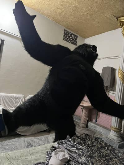Giant Gorilla Costume for Sale – Black Furry Suit
