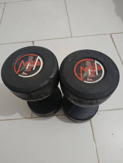 5kg Dumbbell to both