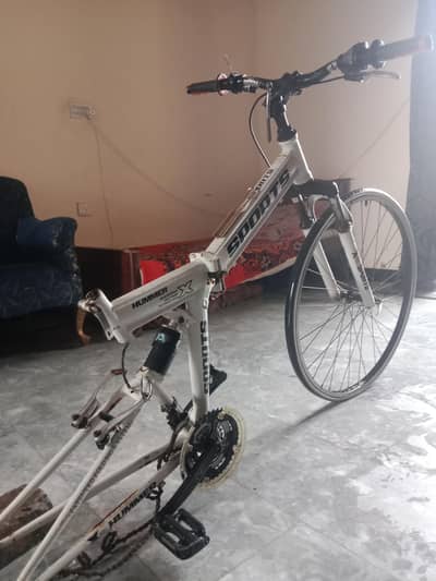 Sport cycle