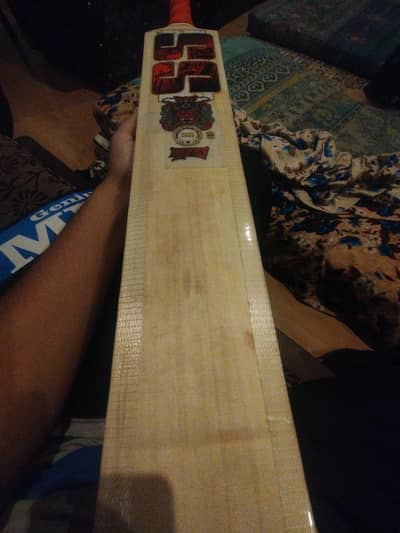 best english willow bat for professional cricket