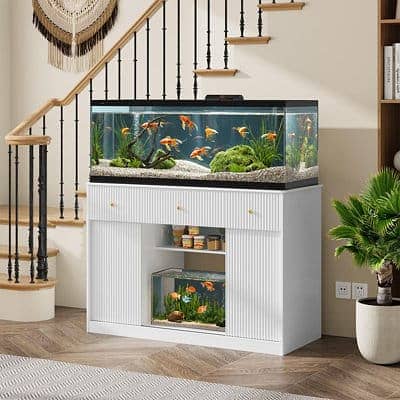 Custom & Ready-Made Aquariums | Rs. 1000 - 500,000 worth Aquariums
