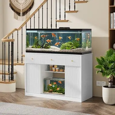 Custom & Ready-Made Aquariums | Rs. 1000 - 500,000 worth Aquariums