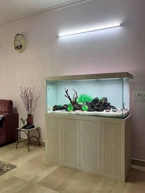 Custom & Ready-Made Aquariums | Rs. 1000 - 500,000 worth Aquariums — photo 2