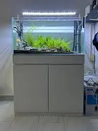 Custom & Ready-Made Aquariums | Rs. 1000 - 500,000 worth Aquariums — photo 3