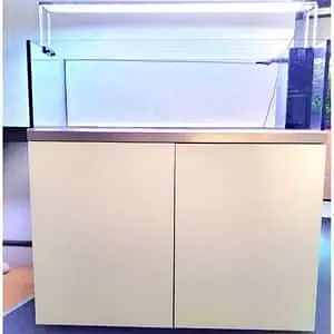 Custom & Ready-Made Aquariums | Rs. 1000 - 500,000 worth Aquariums — photo 5