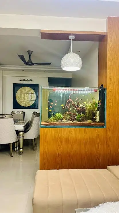 Custom & Ready-Made Aquariums | Rs. 1000 - 500,000 worth Aquariums — photo 6