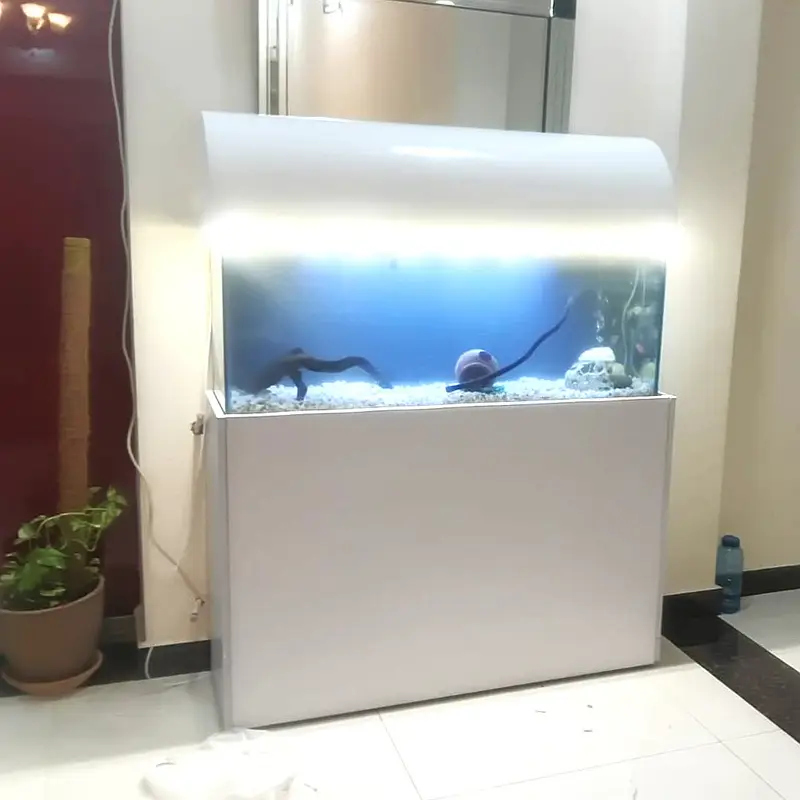 Custom & Ready-Made Aquariums | Rs. 1000 - 500,000 worth Aquariums — photo 7