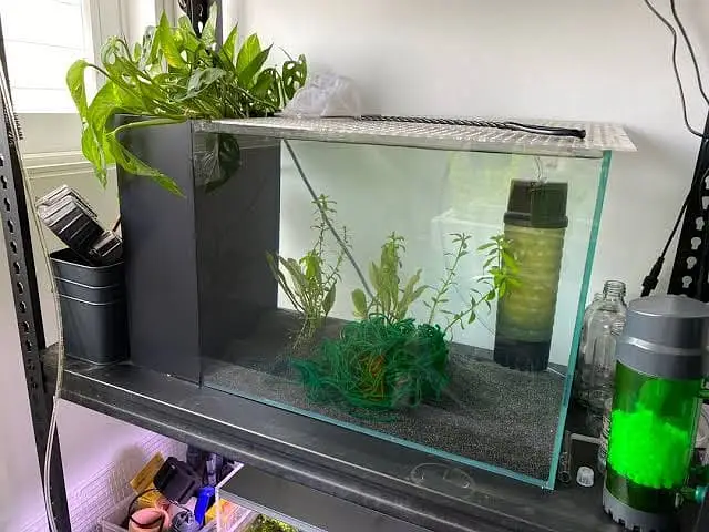 Custom & Ready-Made Aquariums | Rs. 1000 - 500,000 worth Aquariums — photo 9