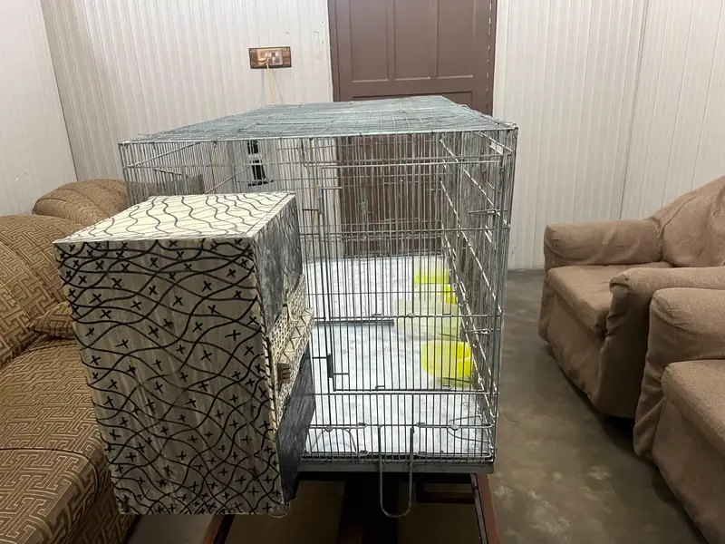 parrots cage — photo 2