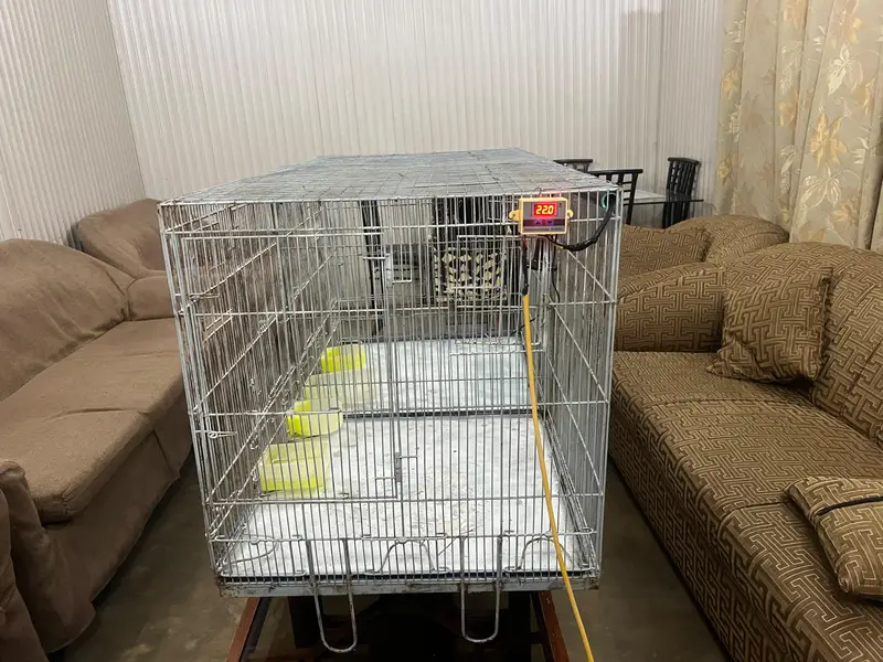 parrots cage — photo 4