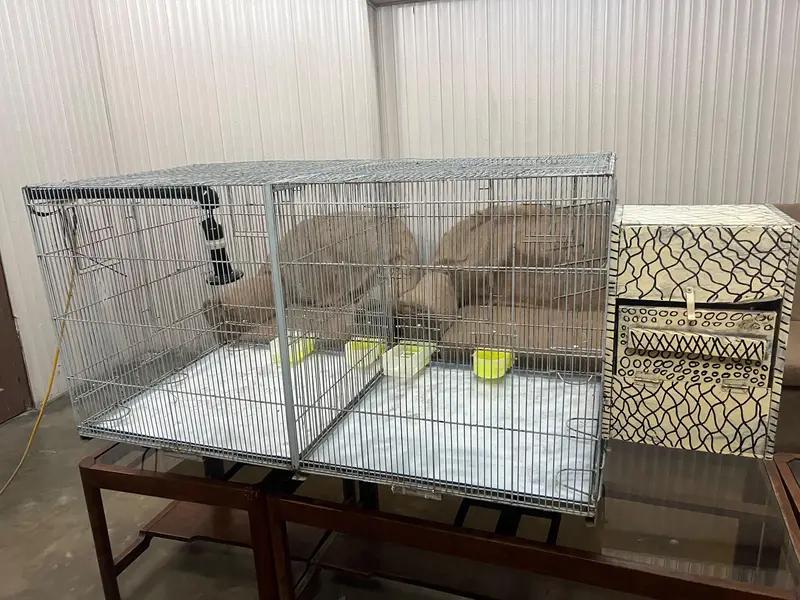 parrots cage — photo 5