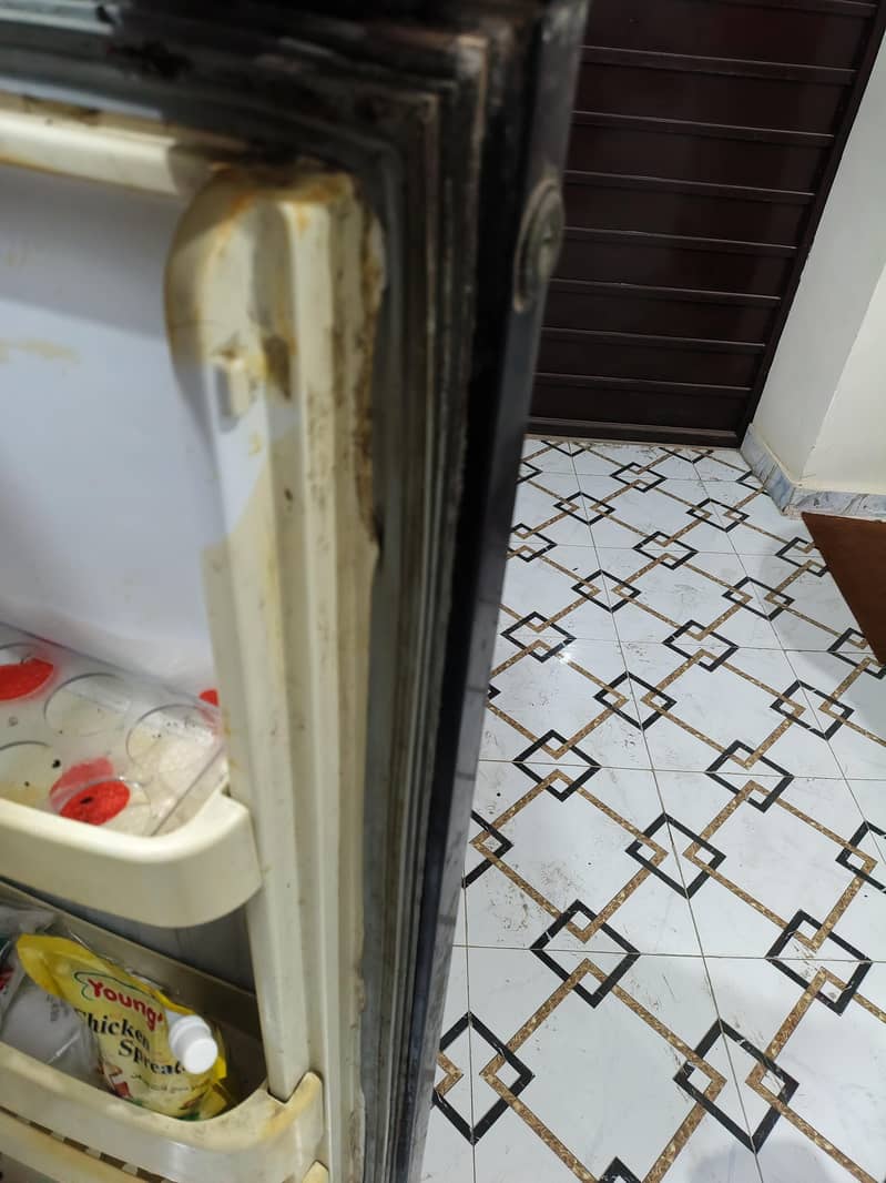 large freezer orient 2