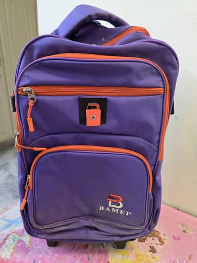 Grade 6 school bag