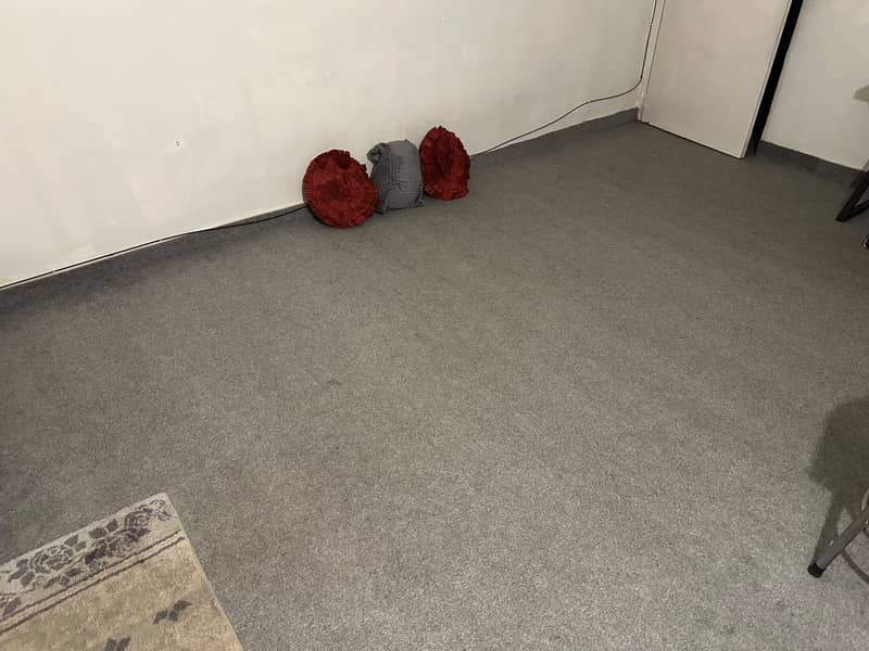 Carpet 0