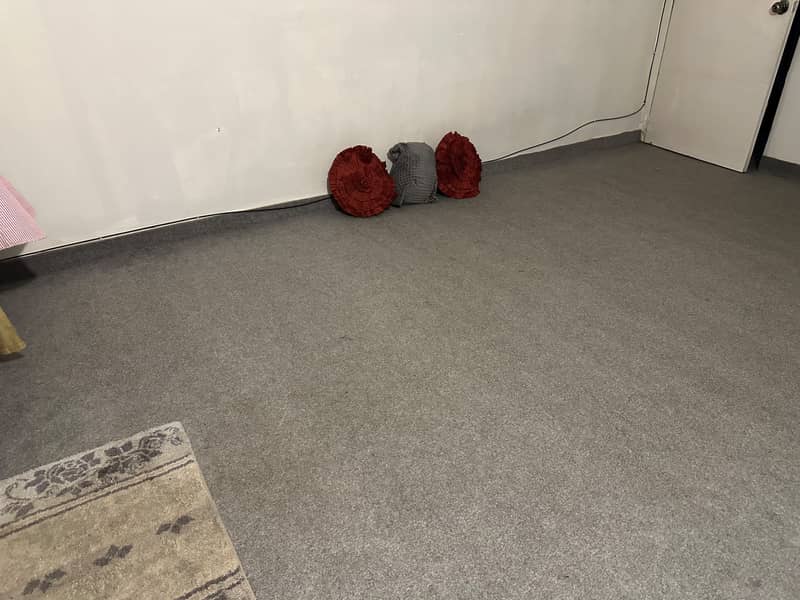 Carpet 1