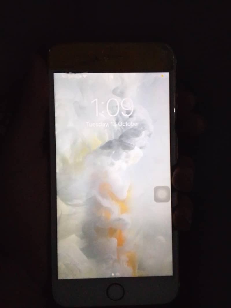 Apple iPhone 6S Plus 1