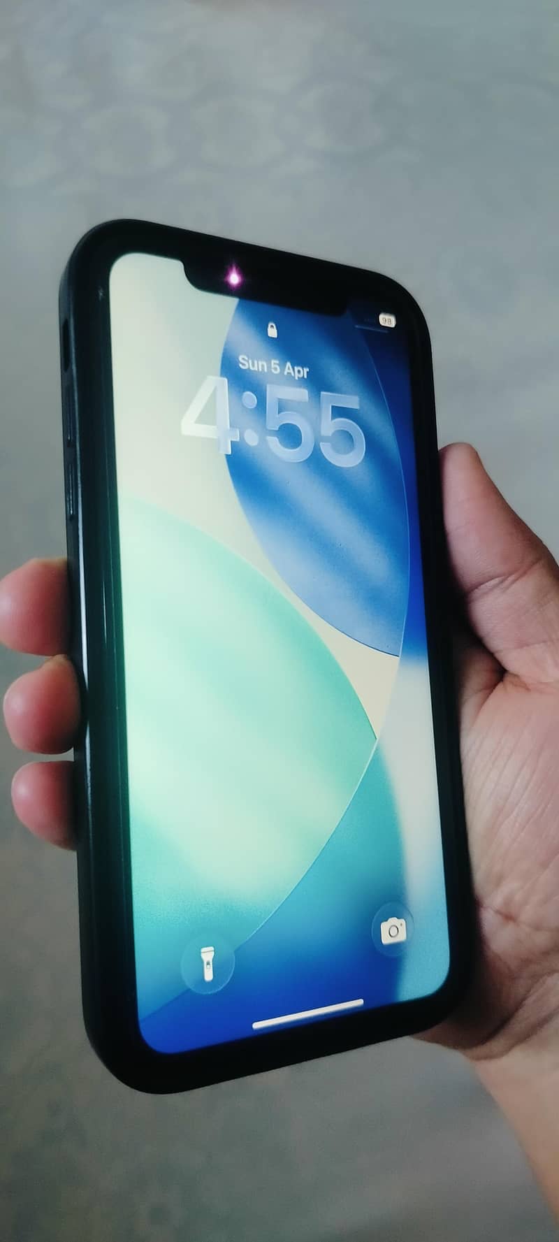 Apple iPhone 11 2
