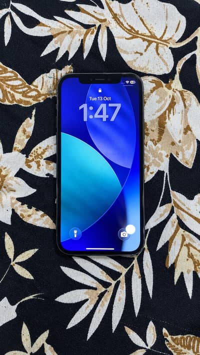 Apple iPhone 12 Pro