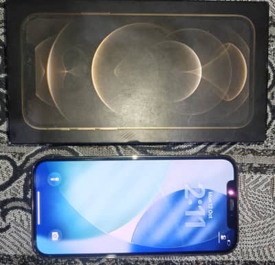 Apple iPhone 12 Pro
