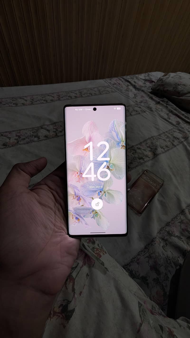 Google Pixel 6 Pro 1
