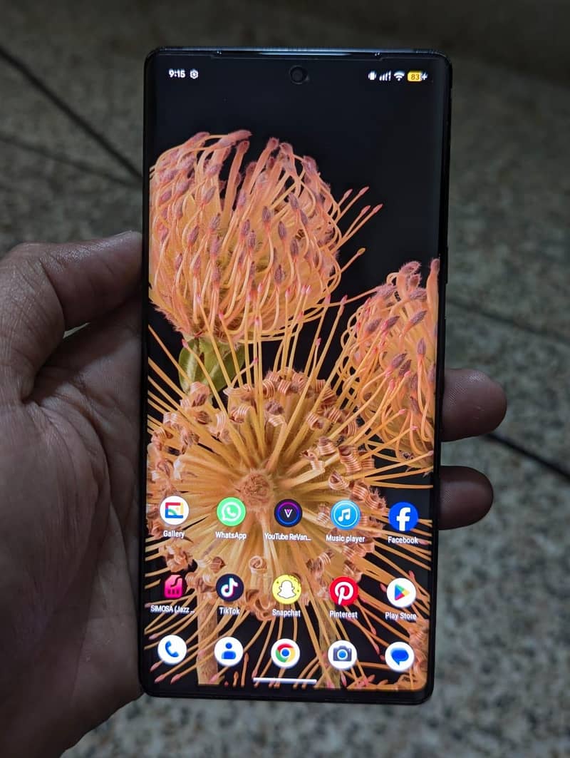 Google Pixel 6 Pro 1