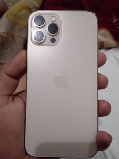 Apple iPhone 12 Pro Max