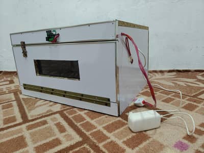 Incubator for eggs hatching