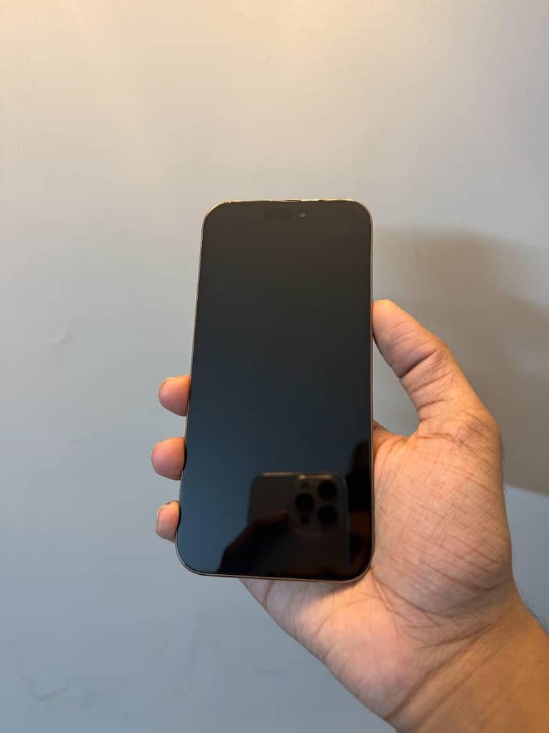 Apple iPhone 16 Pro Max 1