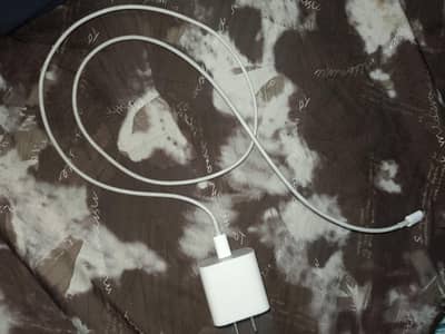 Apple original 20w adapter+original cable