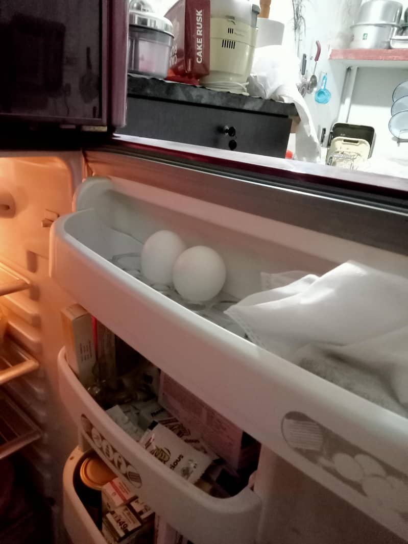 orient  fridge 3