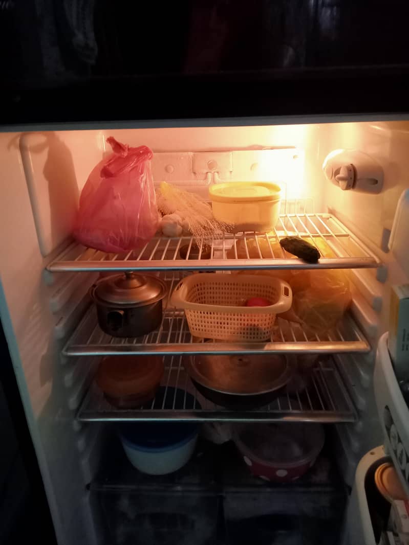 orient  fridge 5