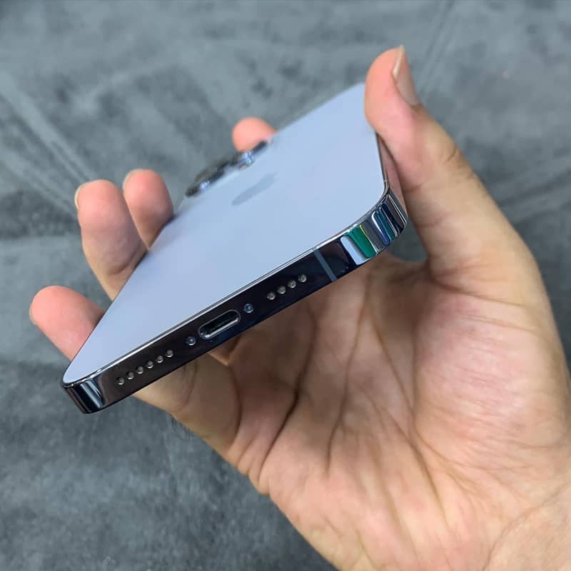 Apple iPhone 13 Pro Max 1