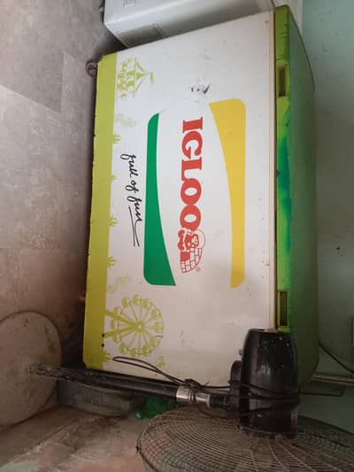igloo frizer single door big frizer