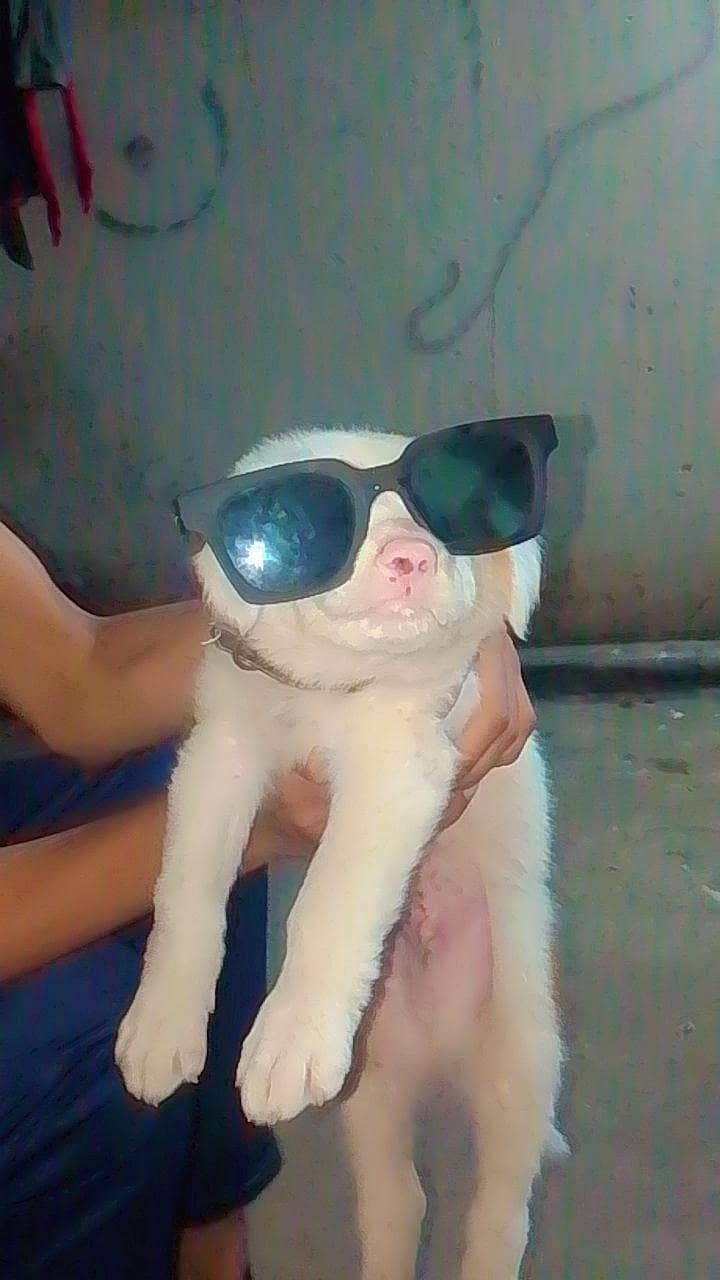 undefined 1