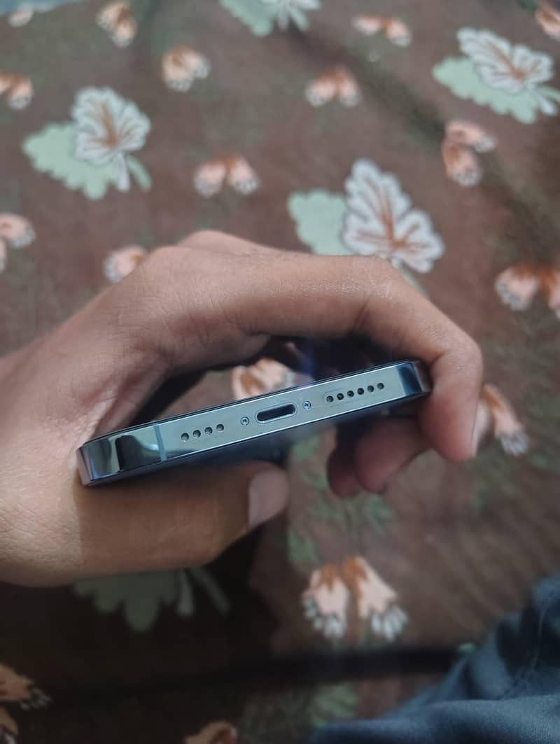 Apple iPhone 13 Pro Max 1