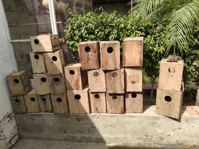 Cocktail and love Birds Breeding boxes 1 time used 10 by 10