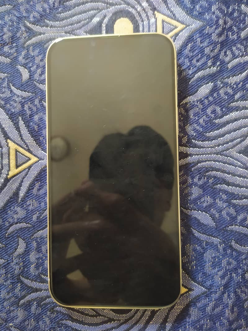 Apple iPhone 13 Pro Max 7