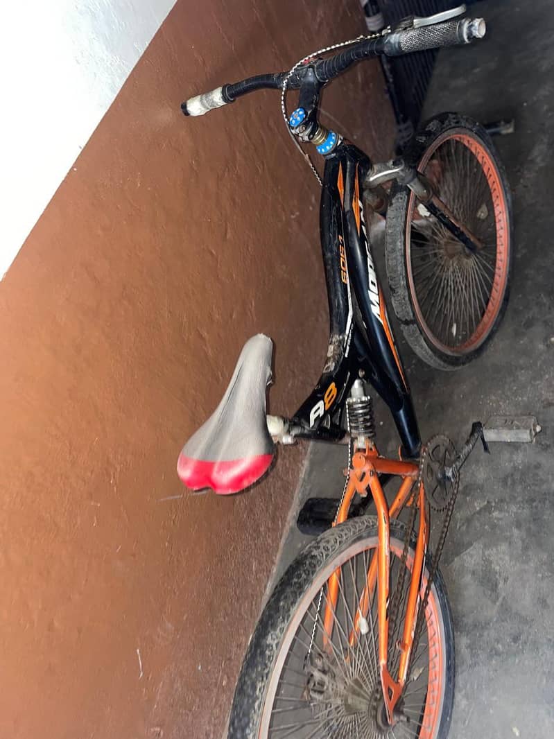 bicycle 2