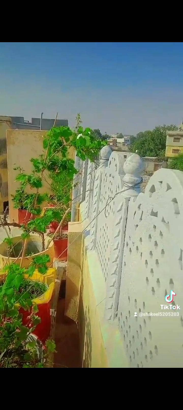 03135205203 17