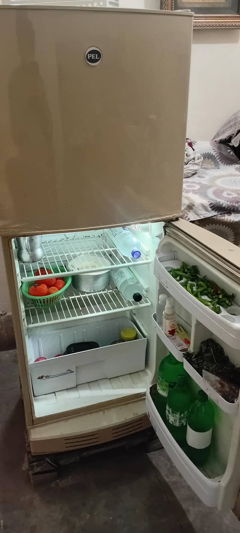 pel refrigerator 1