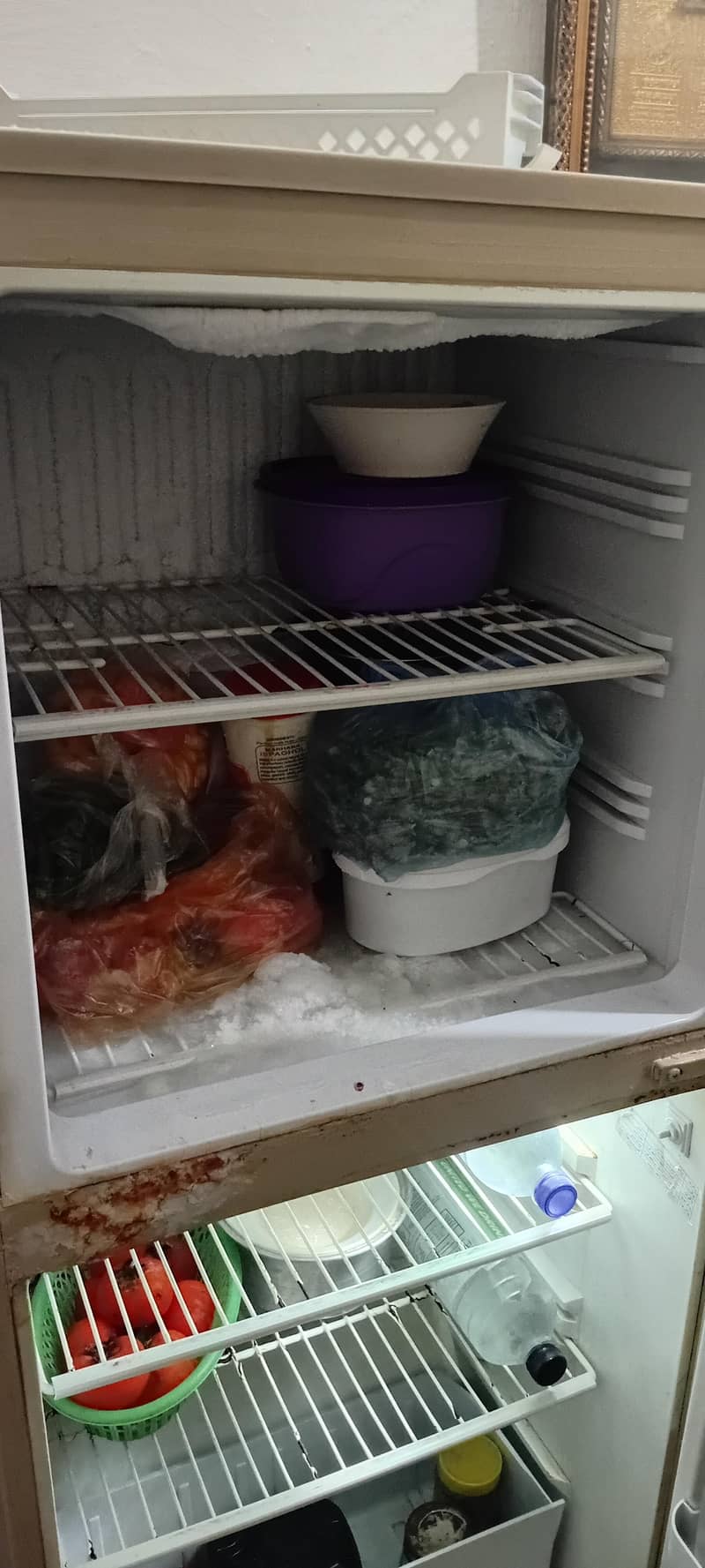 pel refrigerator 2