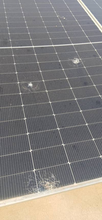 solar paneml for sale
