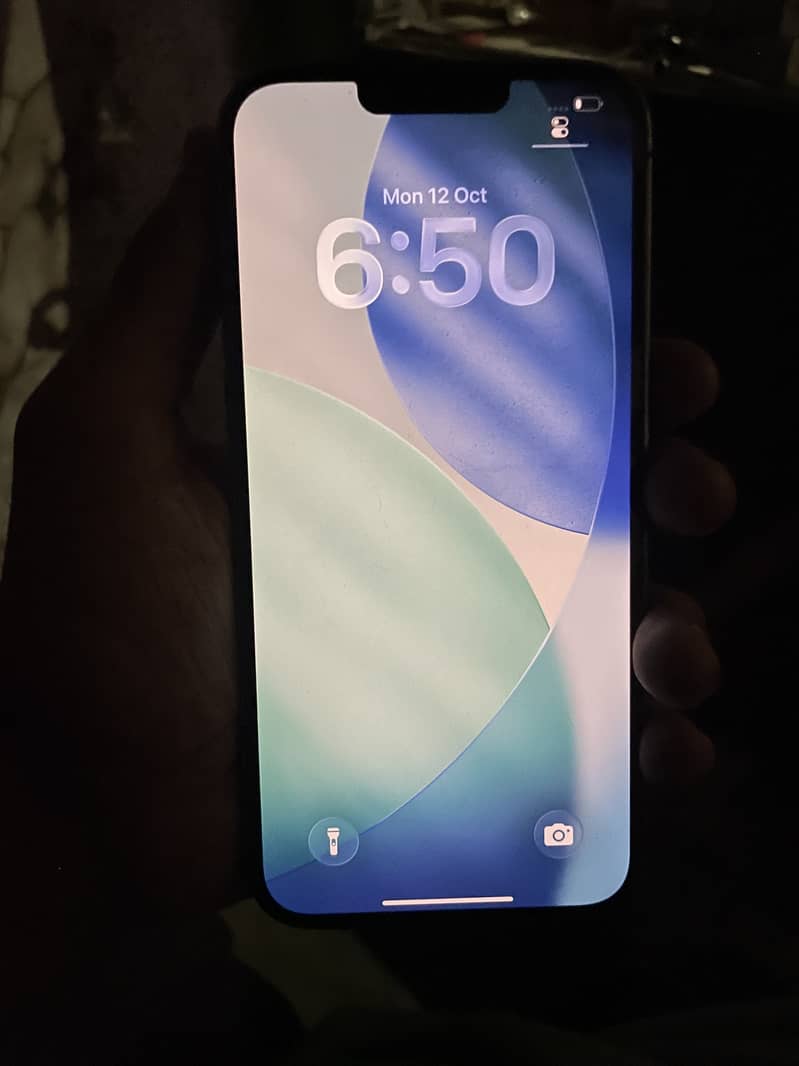 Apple iPhone 13 Pro Max 1