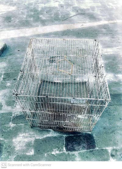 cages for sale