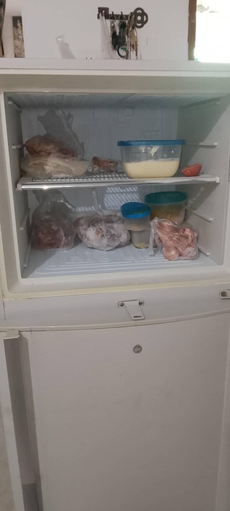 refrigerator 5