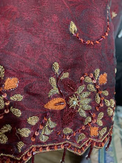 Elegant Embroidered Lehenga (4 piece)