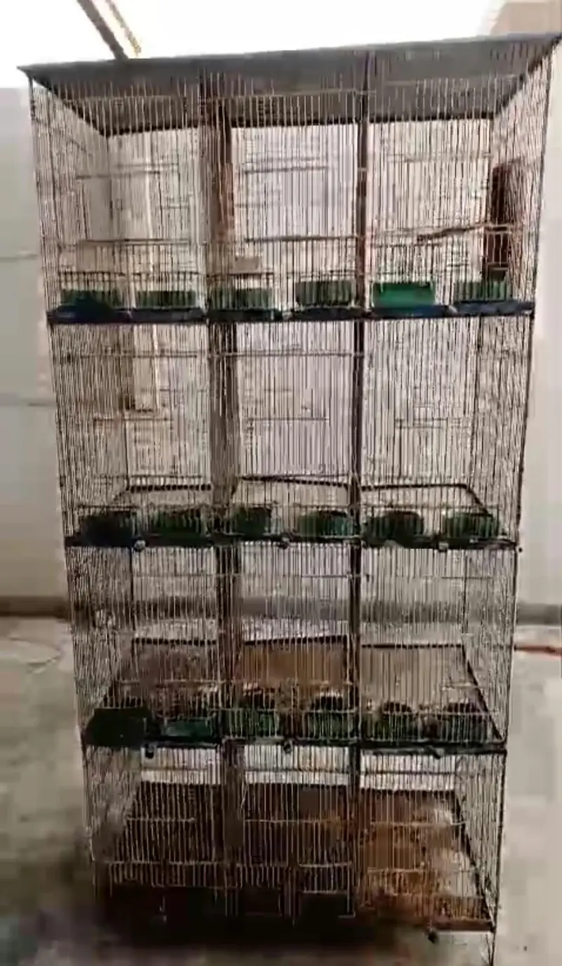 Birds cage 12 portion breeding or finch budgies lovebirds — photo 2